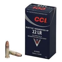 .22 LR 40gr HP – 50rd